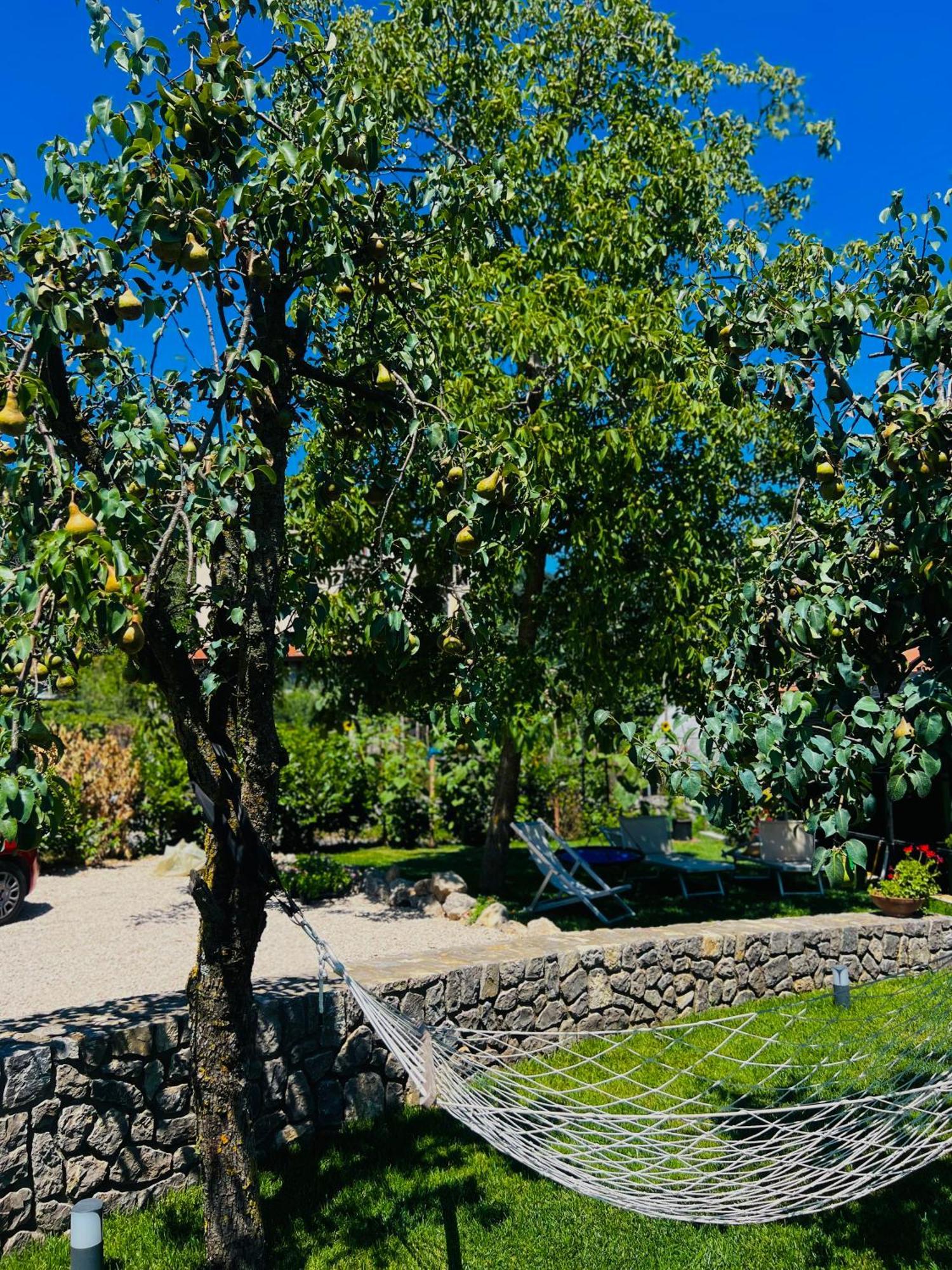 Dolce Risveglio Villa Agerola Eksteriør bilde